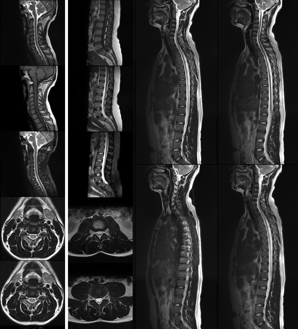 醫療科技事業部